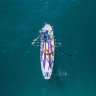 НАДУВНАЯ SUP-ДОСКА SUPZOOM ALL-ROUND PALM